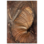 Unified Nr. 02 - Ferra